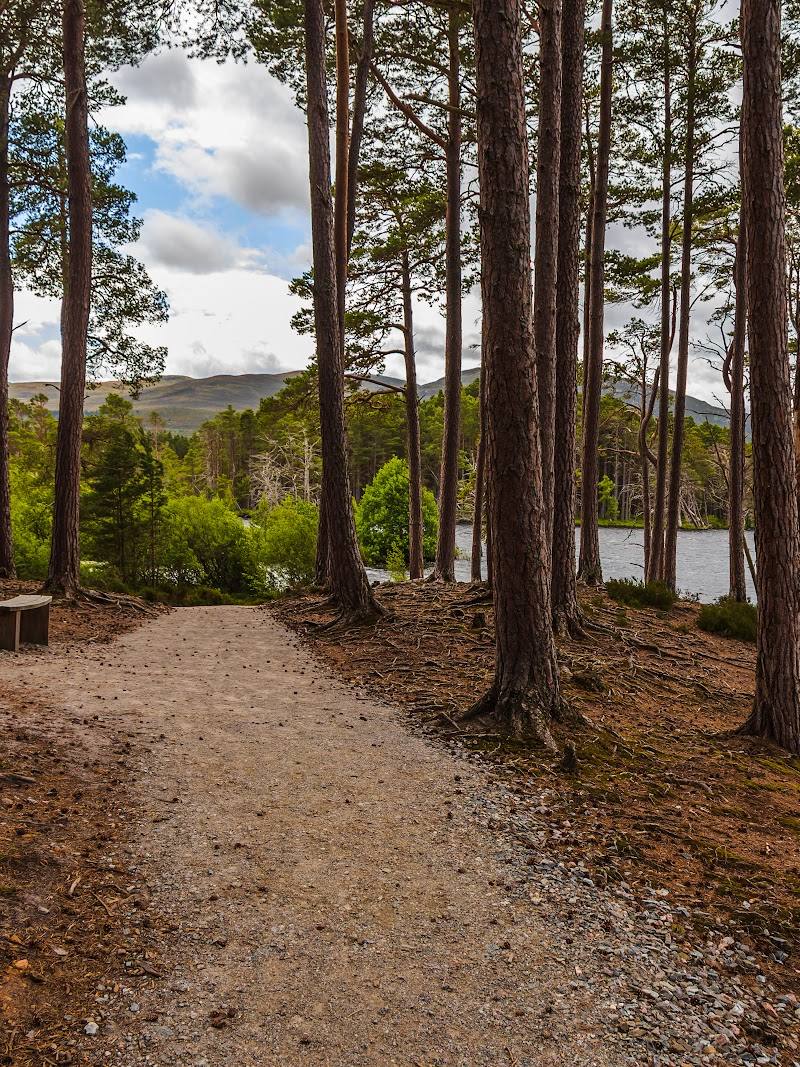 Loch Mallachie — Place photograph (2 of 3)