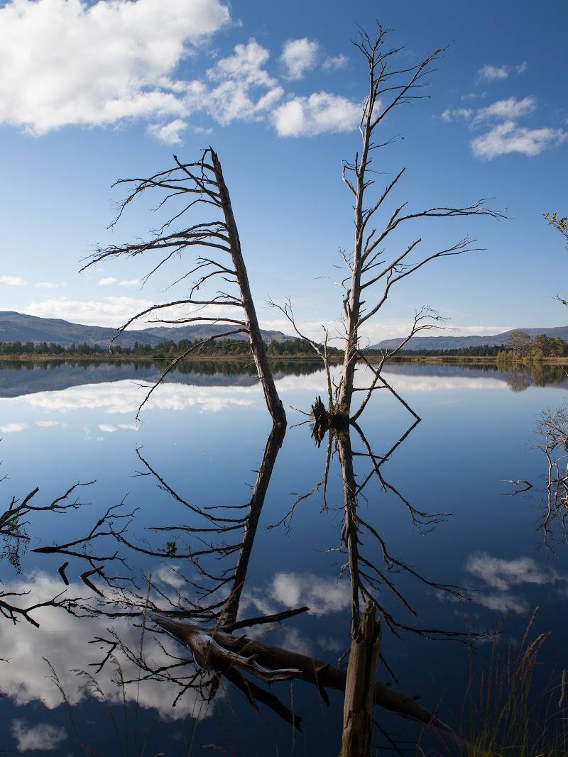 Loch Mallachie — Place photograph