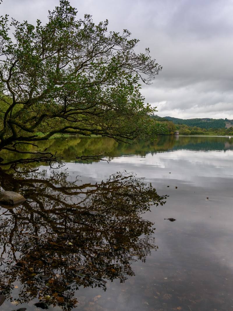 Loch of the Lowes — Place photograph