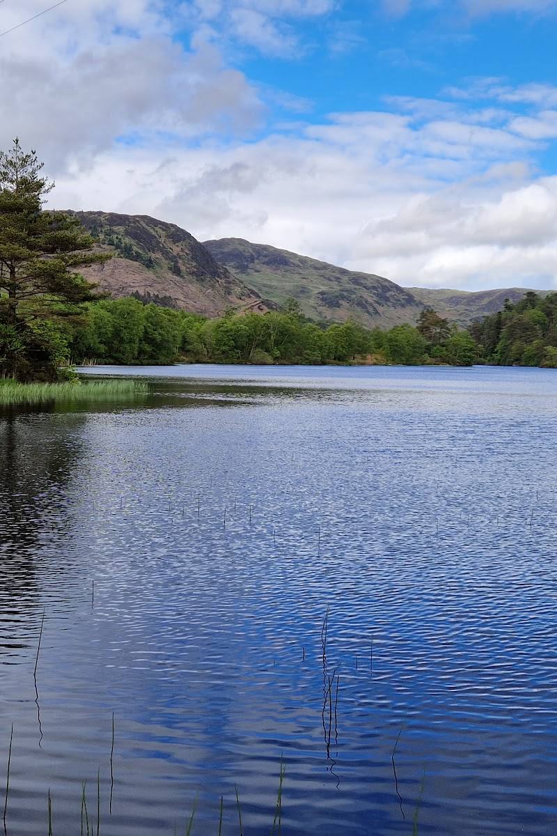 Loch Trool