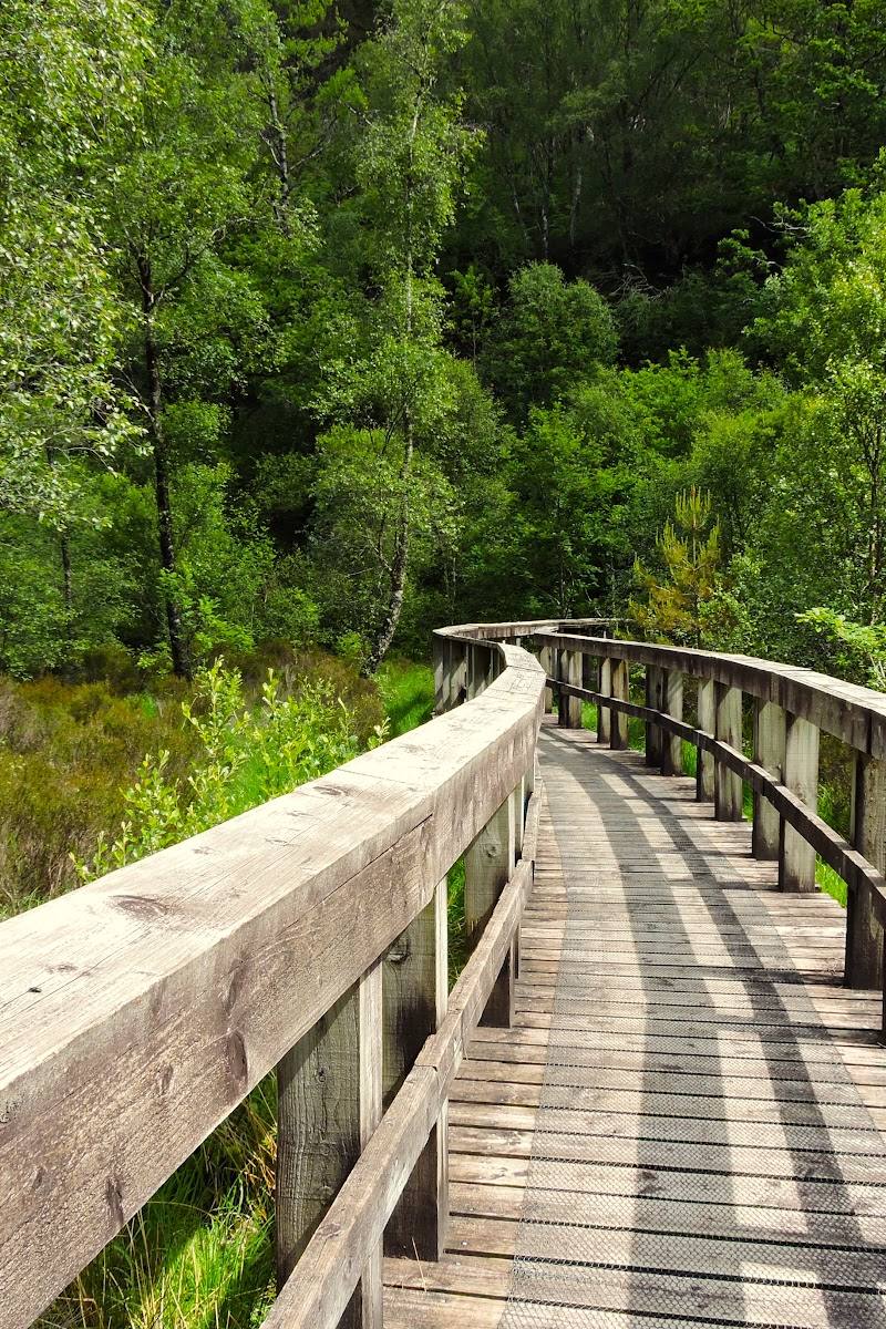 Lochan na Dunaich Trail — Place photograph