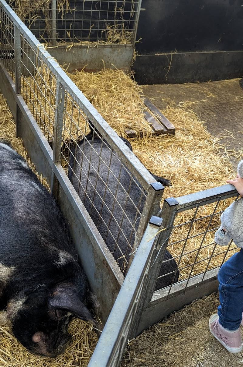 Longdown Activity Farm — Place photograph (3 of 3)