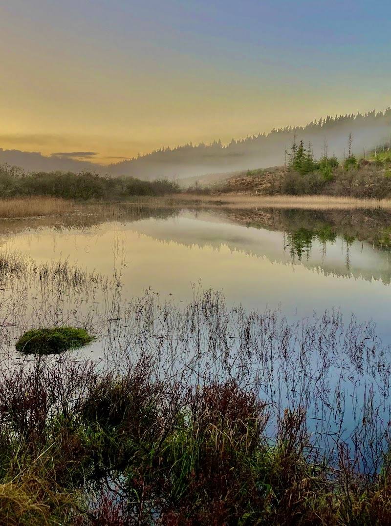 Lough Navar Forest — Place photograph