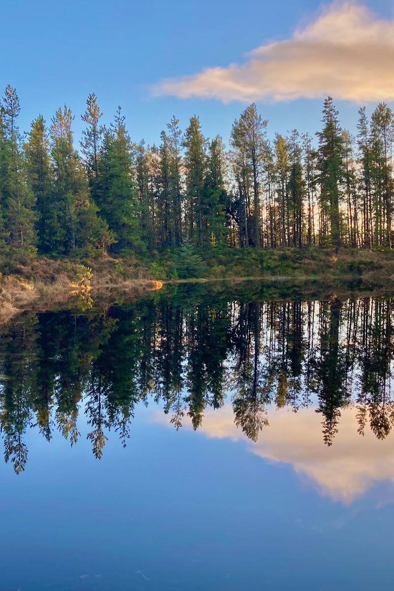 Lough Navar Forest Dr