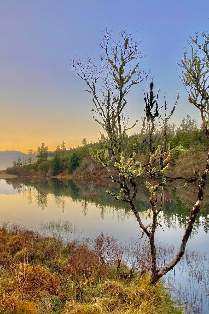Lough Navar Forest Dr