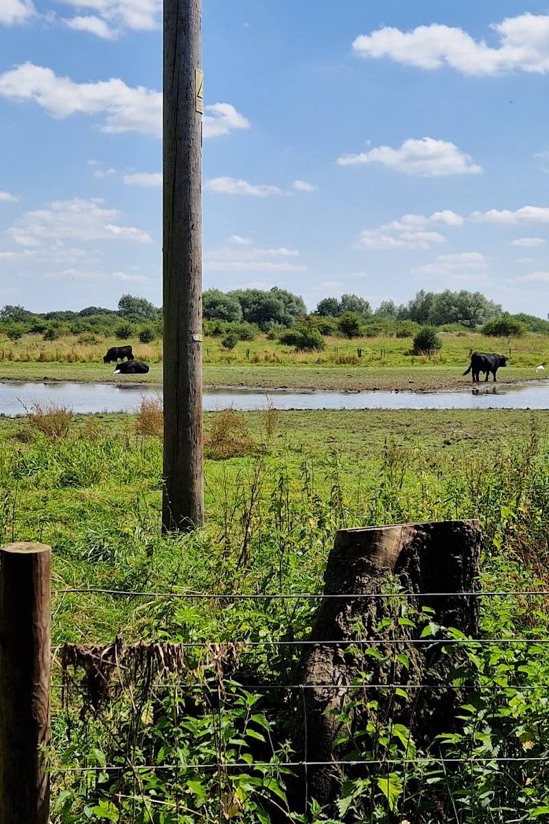 Cossington Meadows (Lower Moor Nature Reserve) — Place photograph