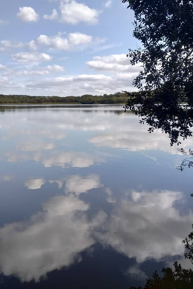 Lower Tamar Lake — Place photograph