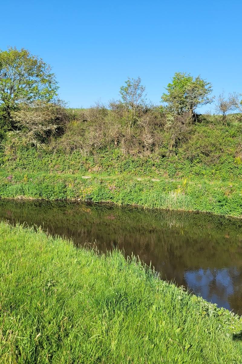 Lower Tamar Lake