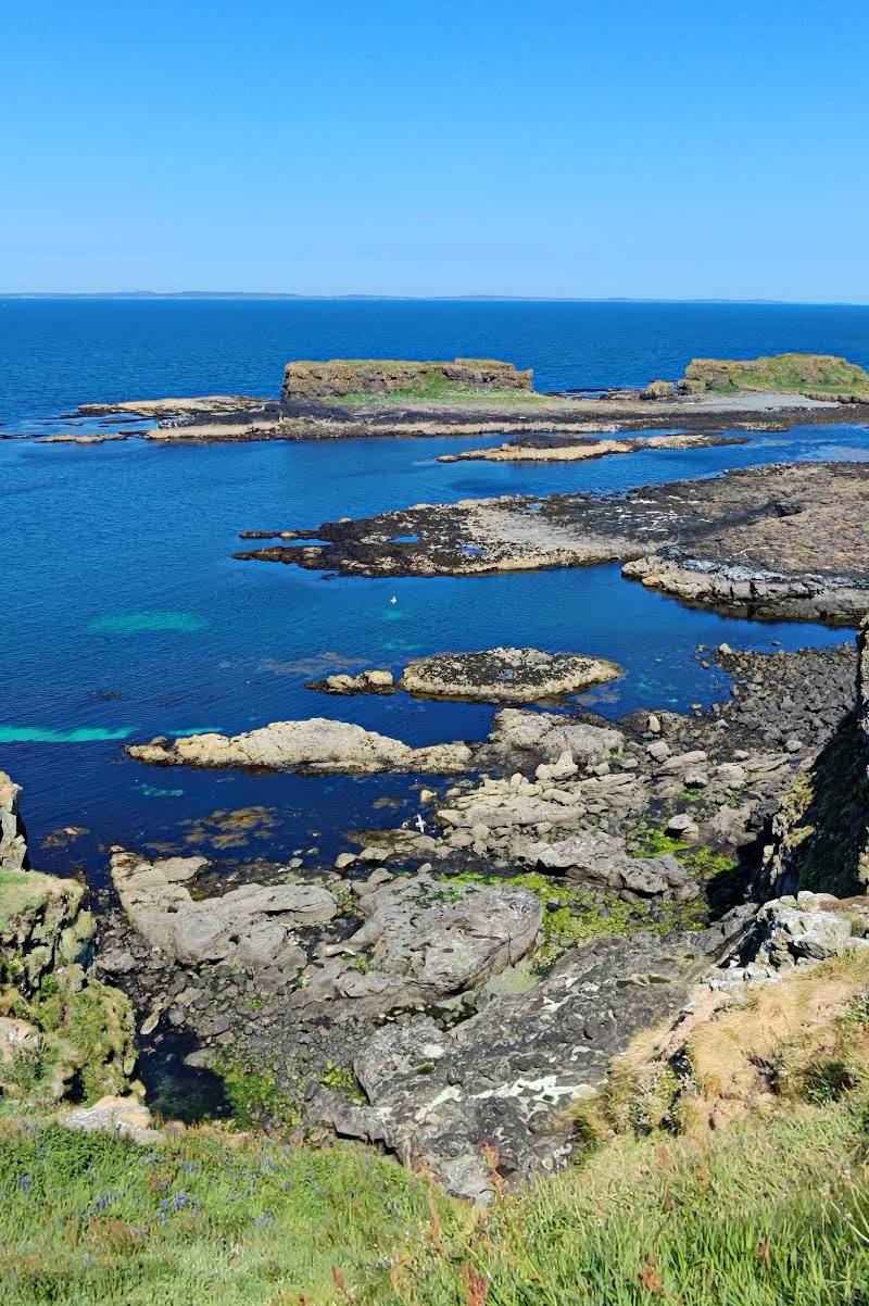 Lunga, Treshnish Isles — Place photograph
