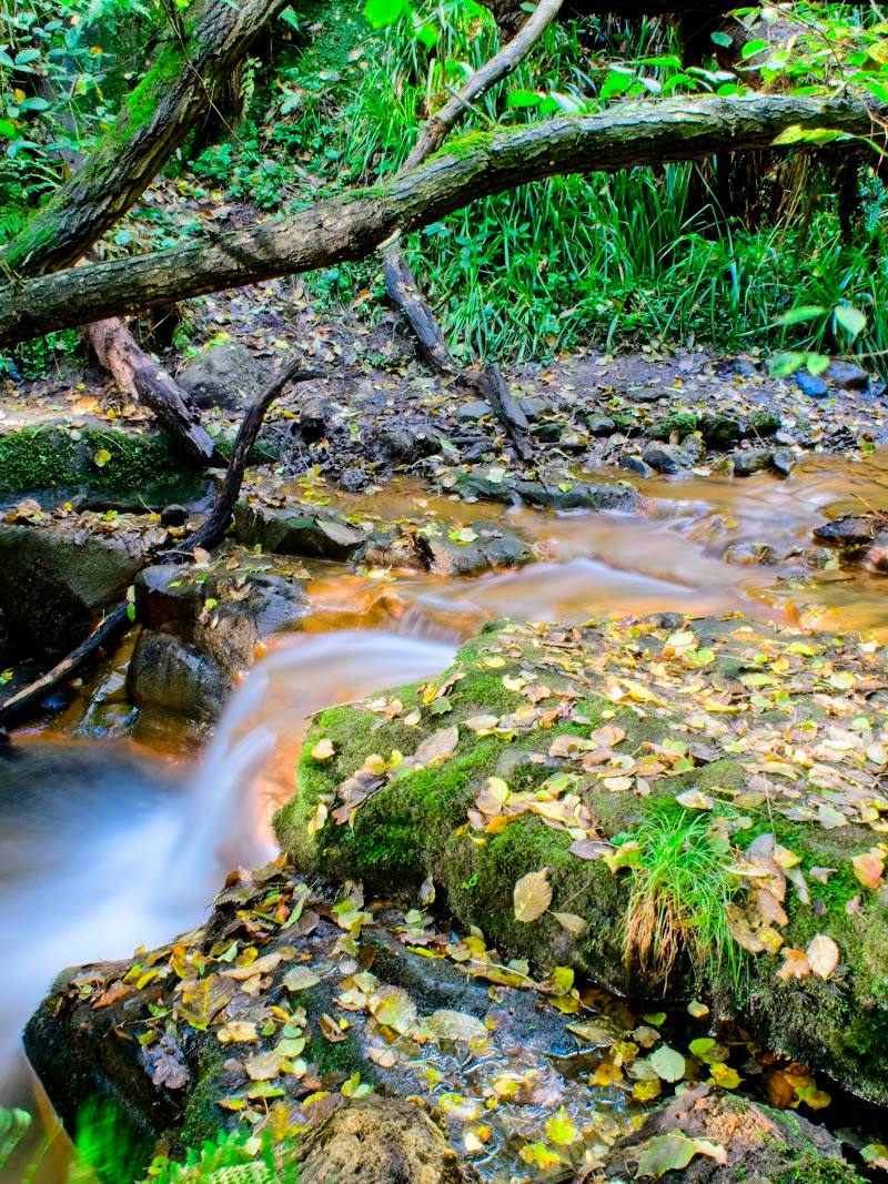 Lyde Waterfall — Place photograph