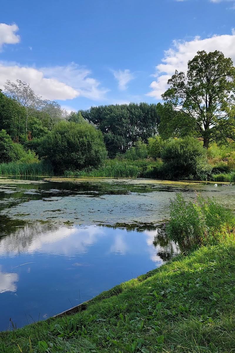 Lydiard Park Lake — Place photograph