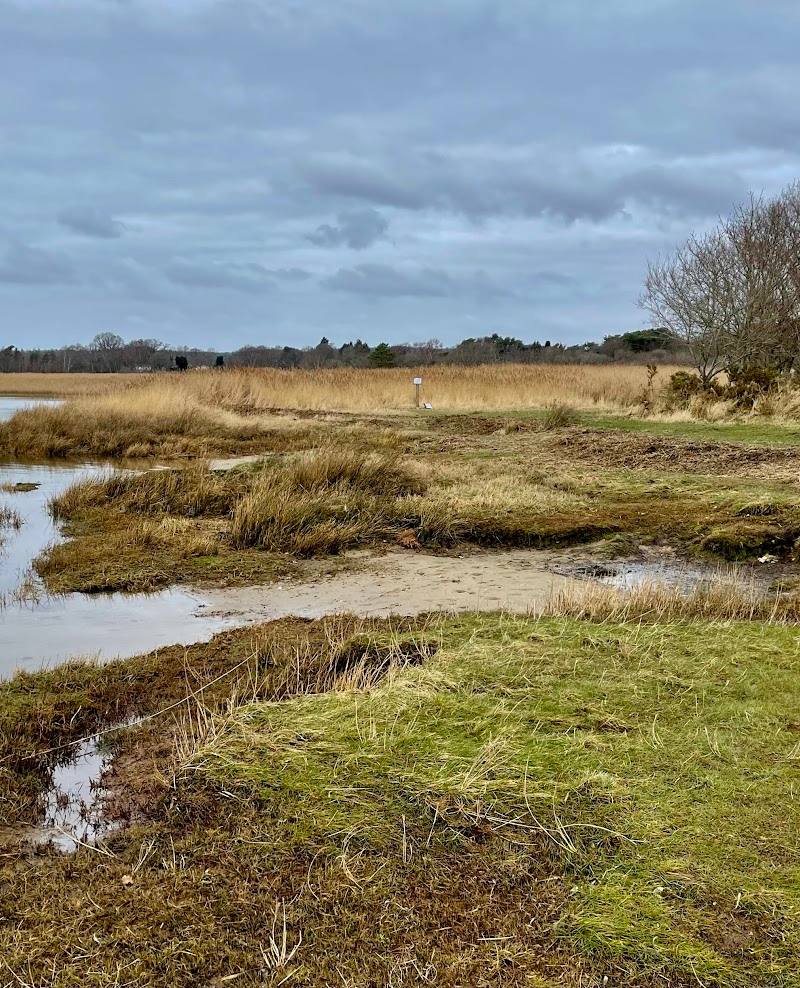 Lytchett Bay Nature Reserve — Place photograph