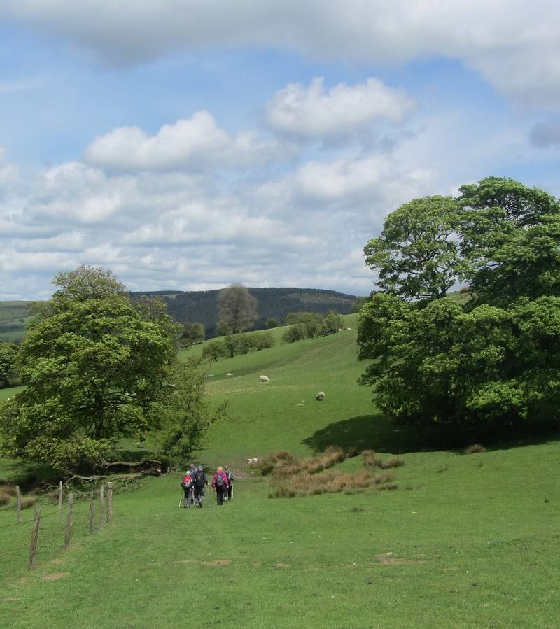 Macclesfield Forest