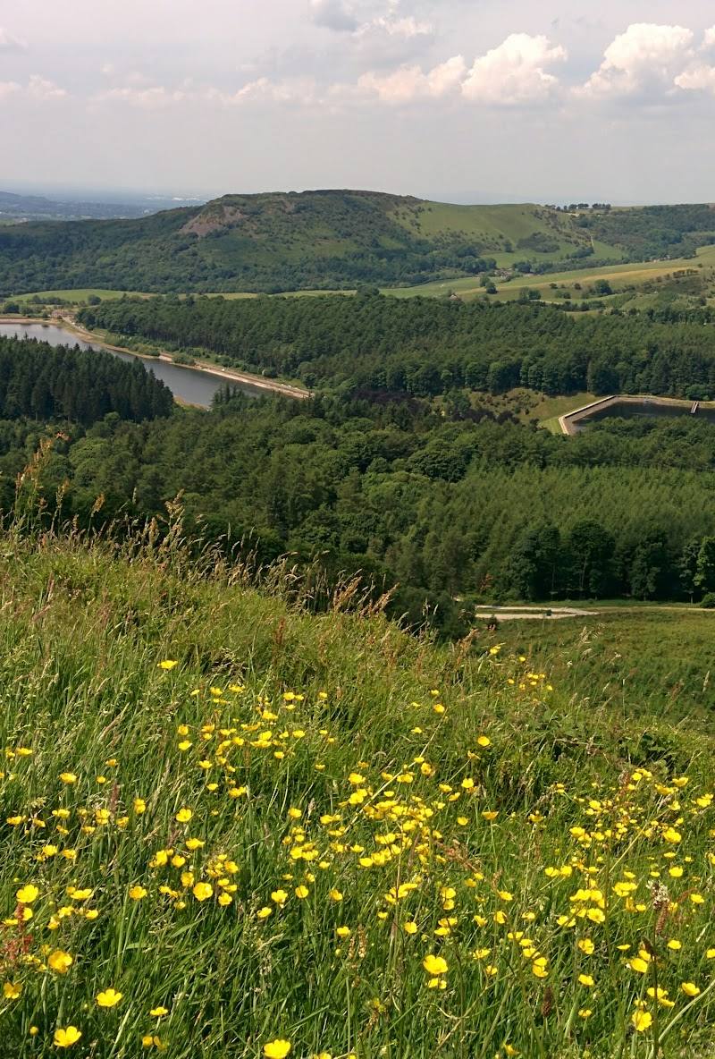 Macclesfield Forest