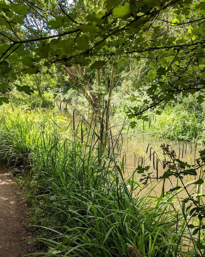 Magnolia Park & Nature Reserve — Source image