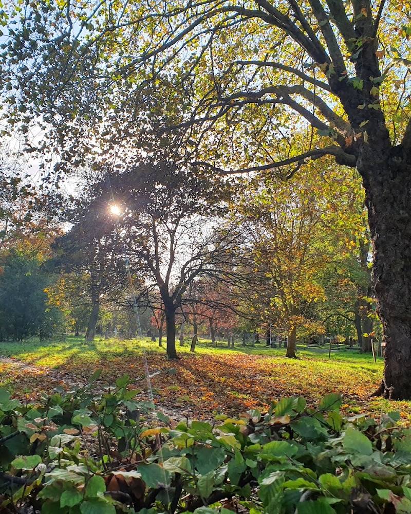 Margravine Cemetery — Source image