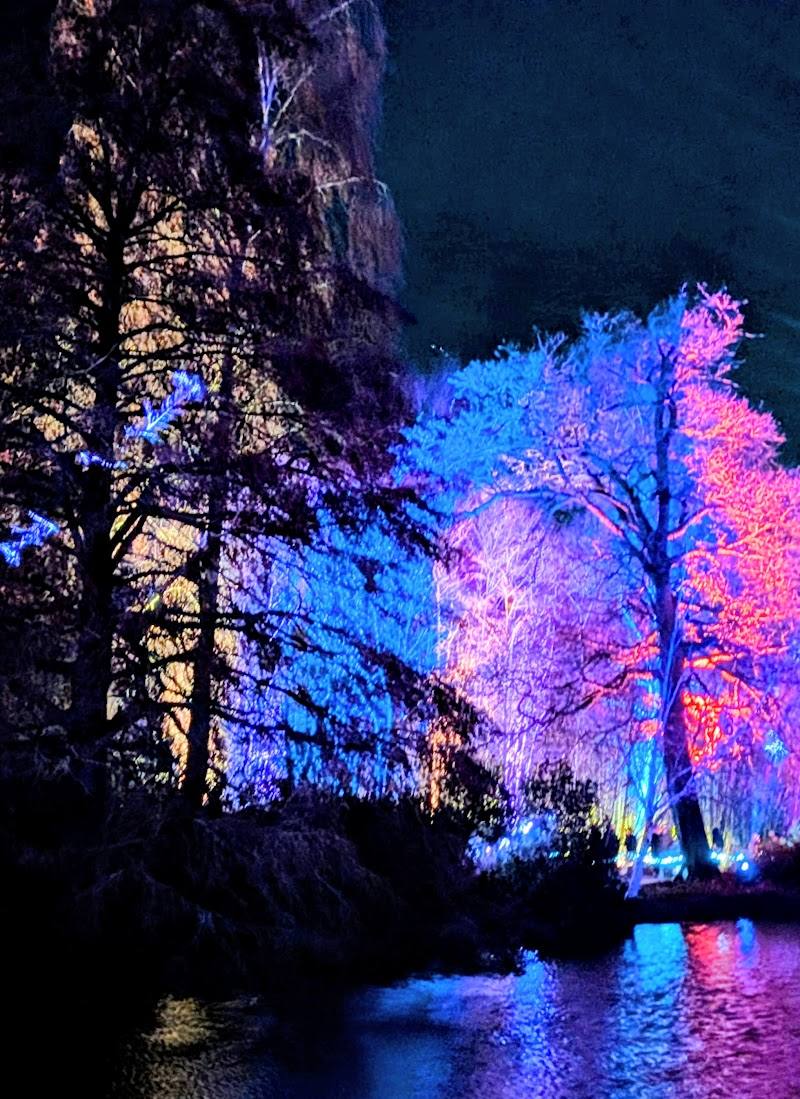 Markshall Arboretum