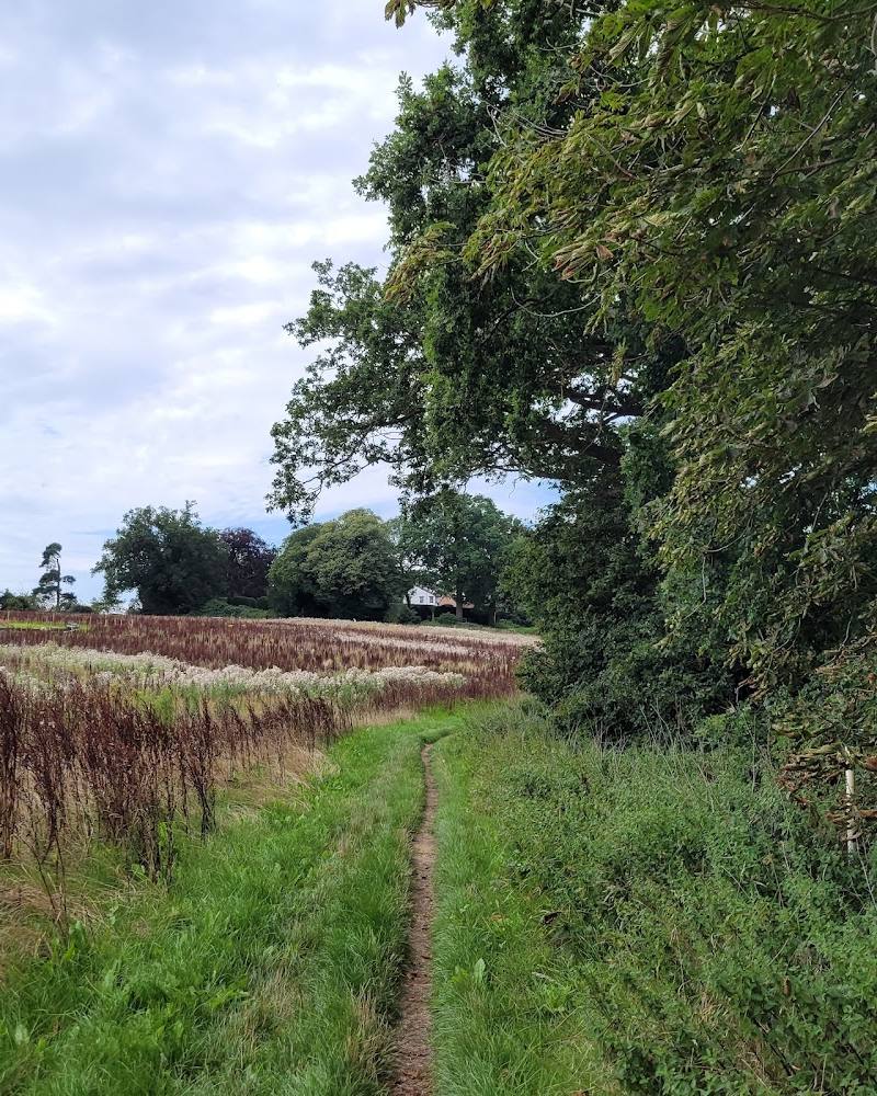 Martlesham Wilds Nature Reserve — Source image