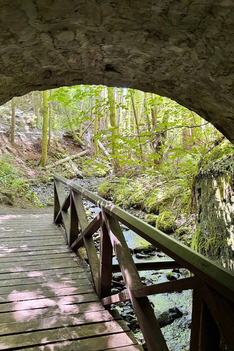 Maspie Den Walk & Waterfall