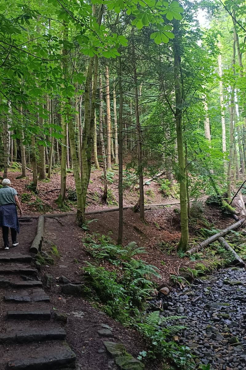 Maspie Den Walk & Waterfall — Place photograph