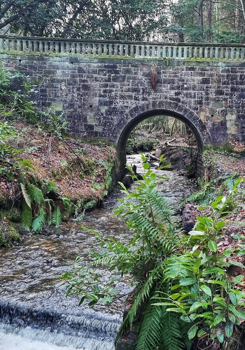 Maspie Den Walk & Waterfall
