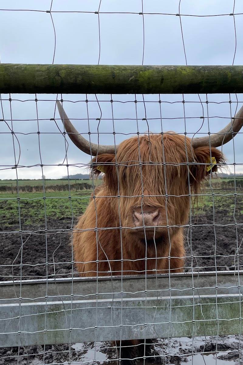 Matlock Farm Park — Place photograph (1 of 3)