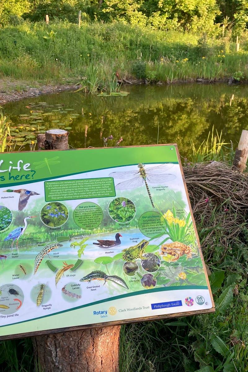 Mauldsheugh Wood Community Wildlife Project — Place photograph