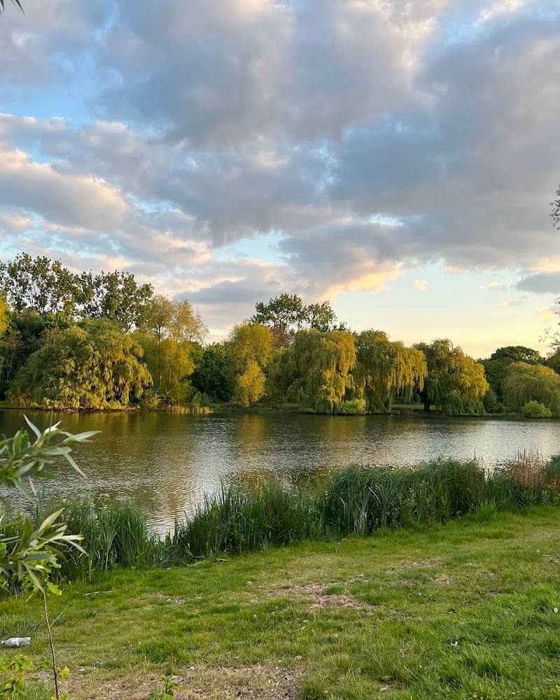 Mayesbrook Park Lakeside Walk (Woodland Trail) — Source image