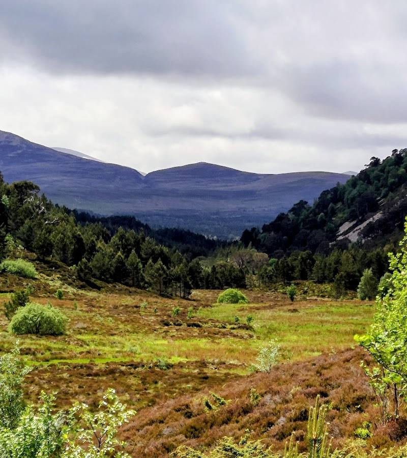 Meall a' Bhuachaille — Place photograph (3 of 3)