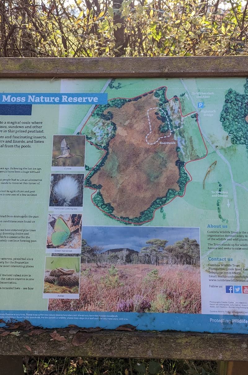 Meathop Moss Nature Reserve — Place photograph