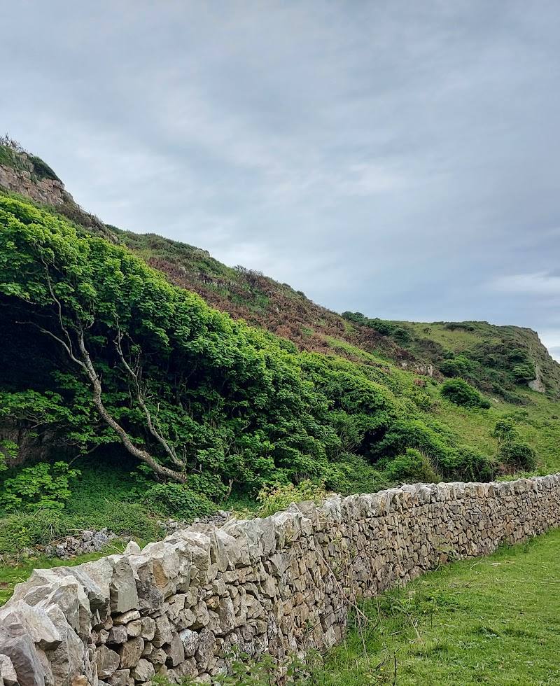 Mewslade Bay — Place photograph (1 of 3)