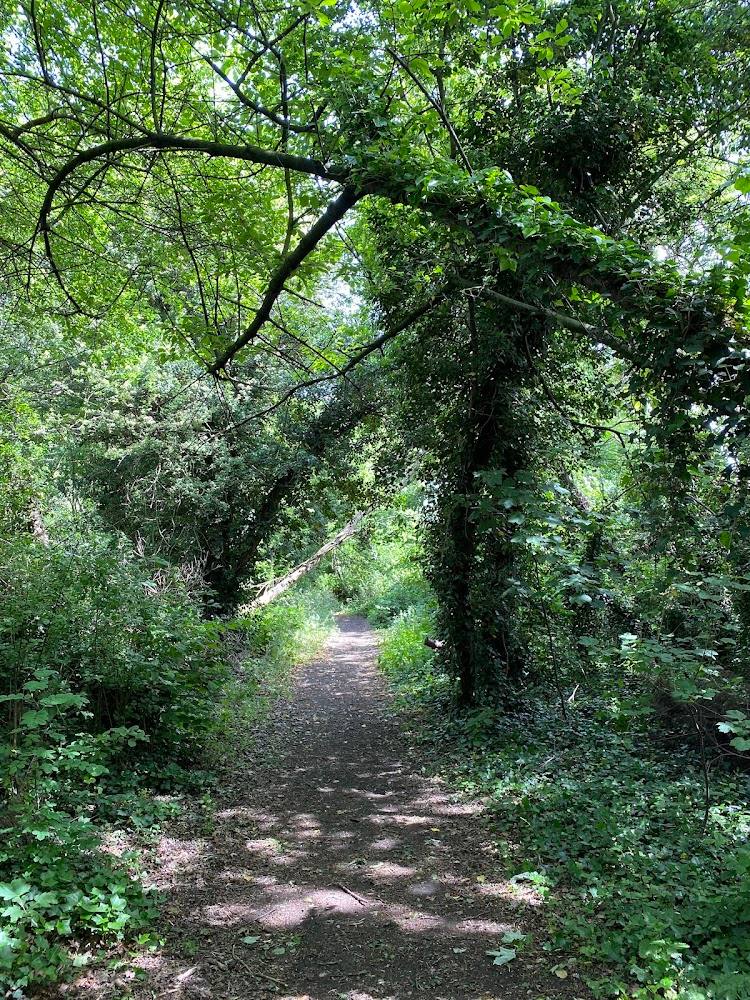 Mill Hill Old Railway Nature Reserve — Source image