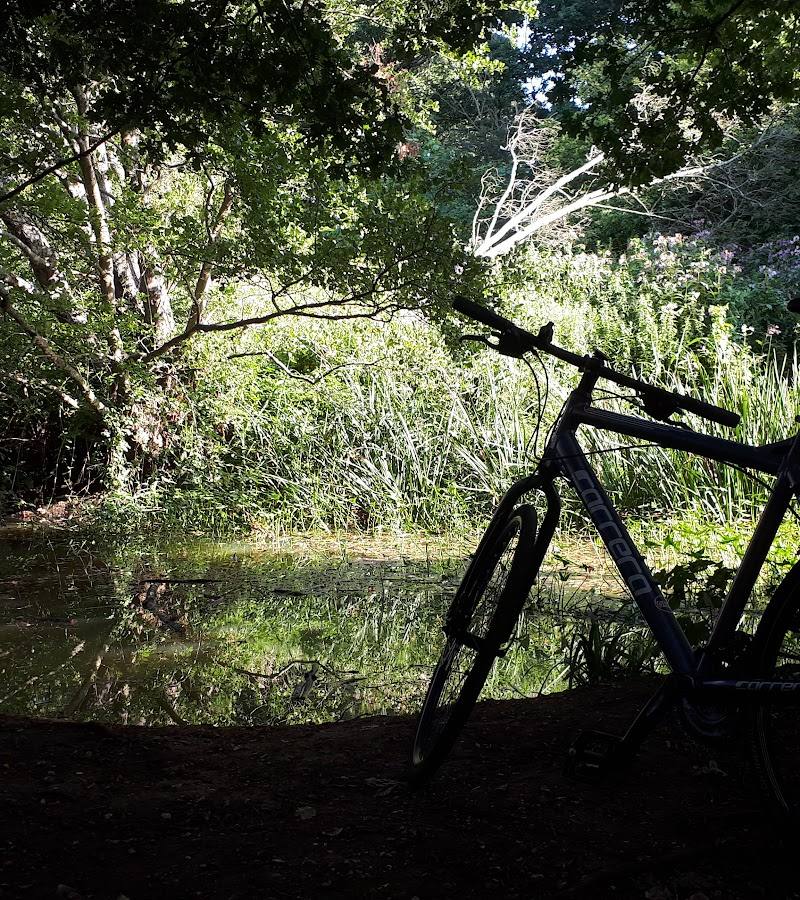 Millhams Mead Circular — Place photograph