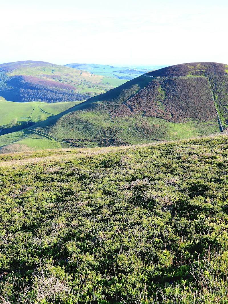 Moel Arthur — Place photograph (1 of 3)