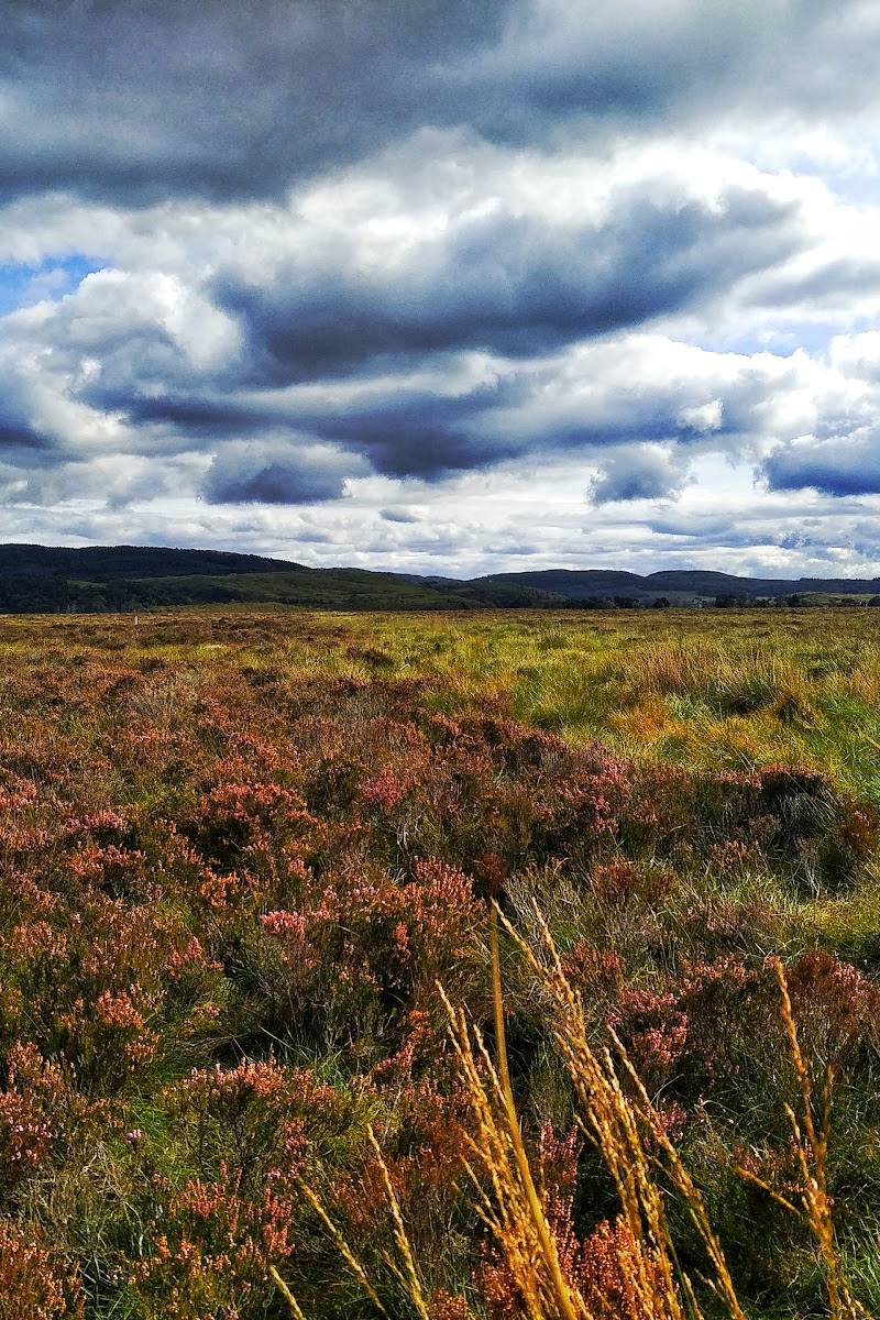 Moine Mhor National Nature Reserve — Place photograph