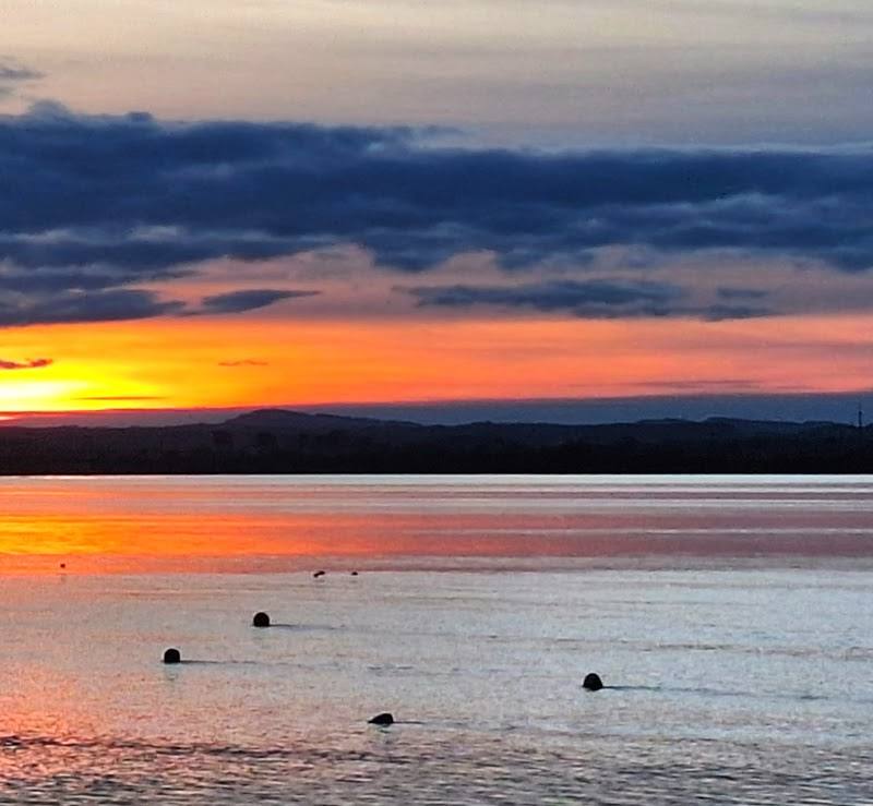 Montrose Basin