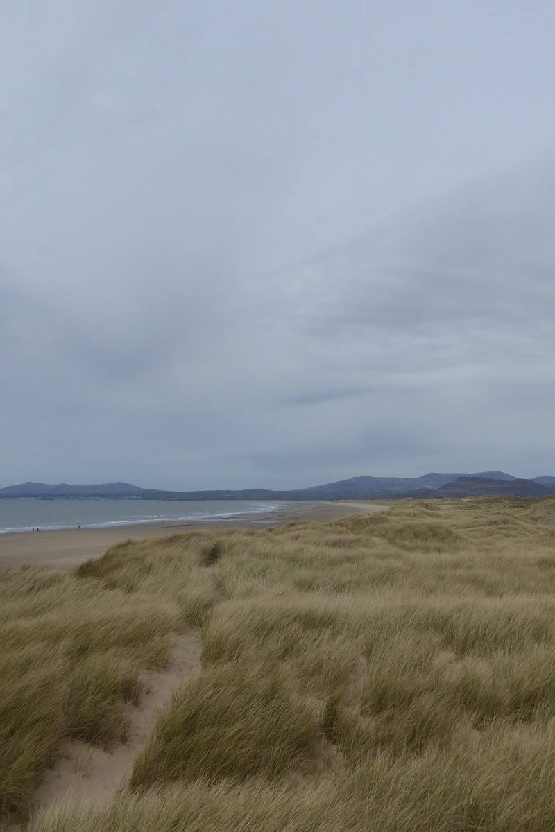 Morfa Harlech National Nature Reserve — Place photograph (1 of 3)