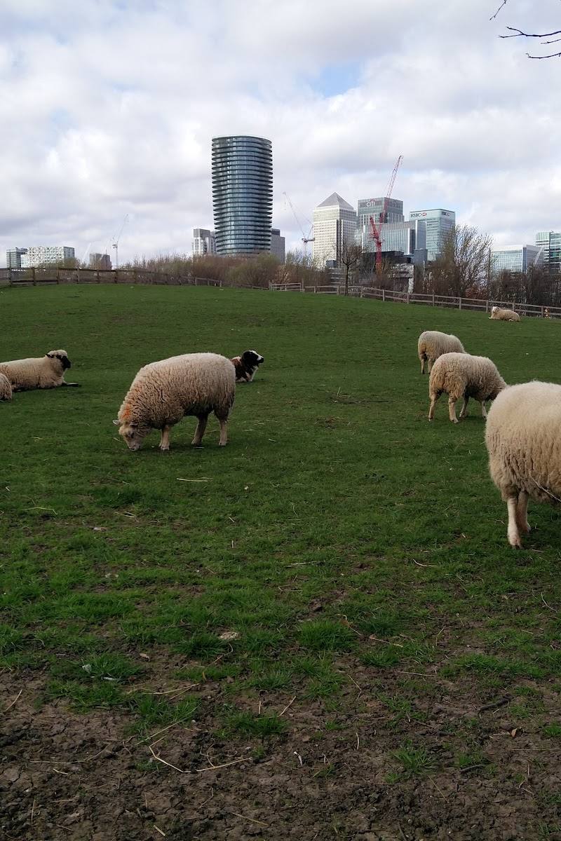 Mudchute Park and Farm