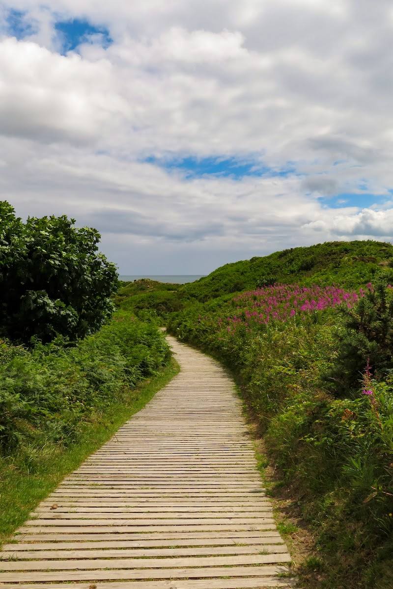 Murlough National Nature Reserve