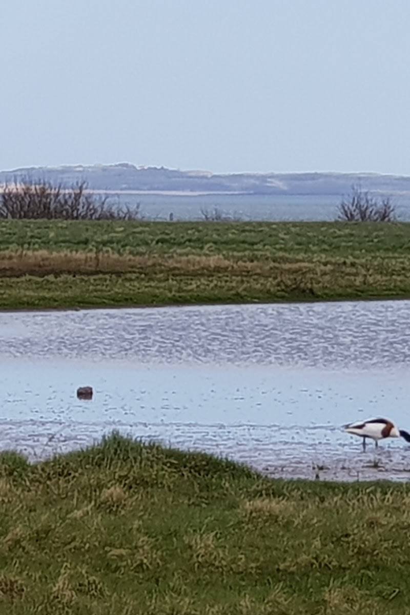 Musselburgh Lagoons — Place photograph