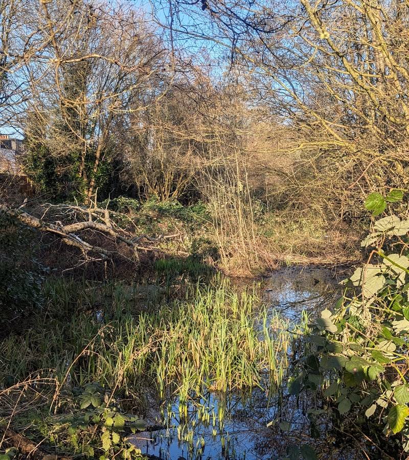Myrna Close Local Nature Reserve — Source image