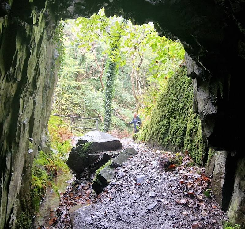 Dolgoch Falls — Place photograph (3 of 3)