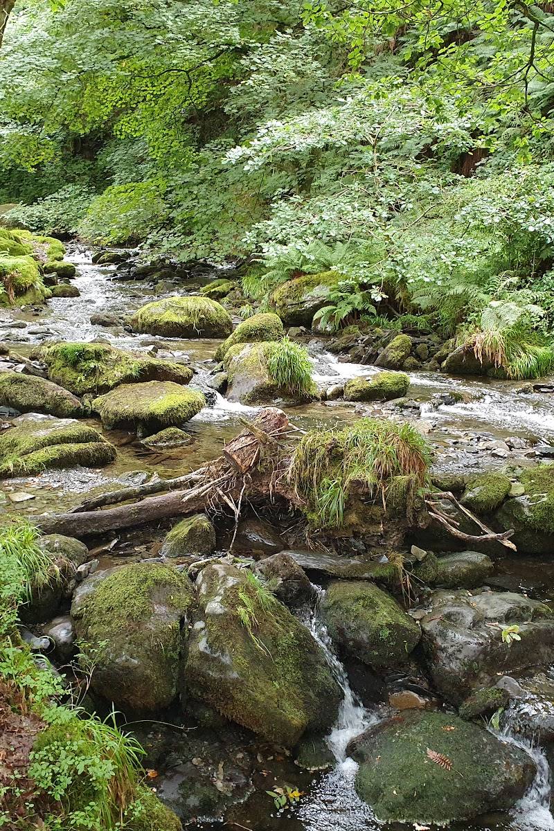 Dolgoch Falls — Place photograph (1 of 3)