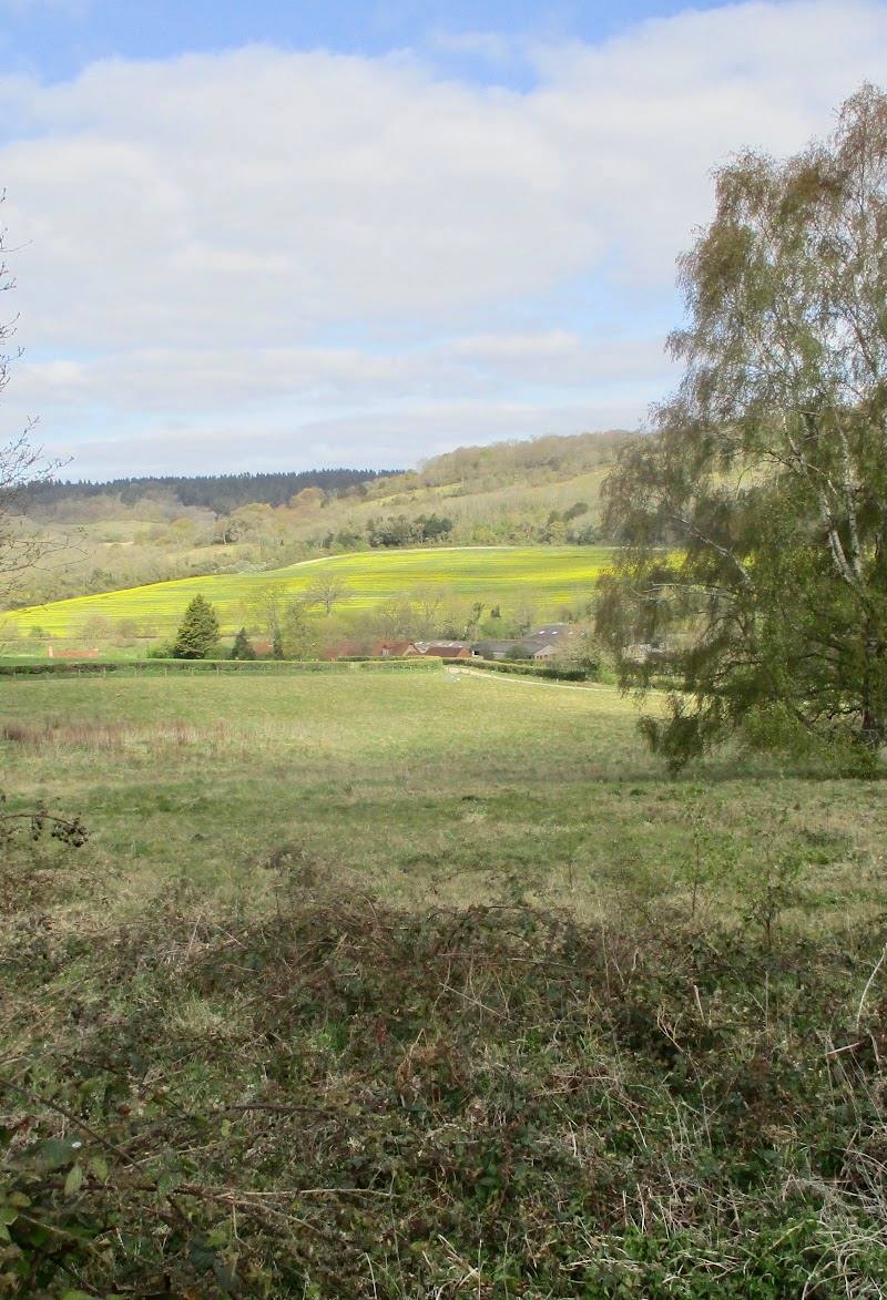 National Trust - Abinger Roughs and Netley Park