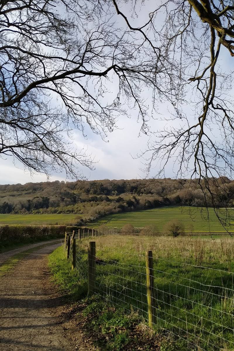 National Trust - Abinger Roughs and Netley Park