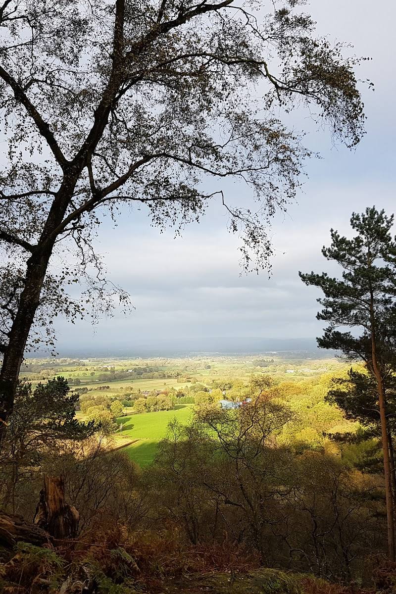 National Trust - Alderley Edge and Cheshire Countryside