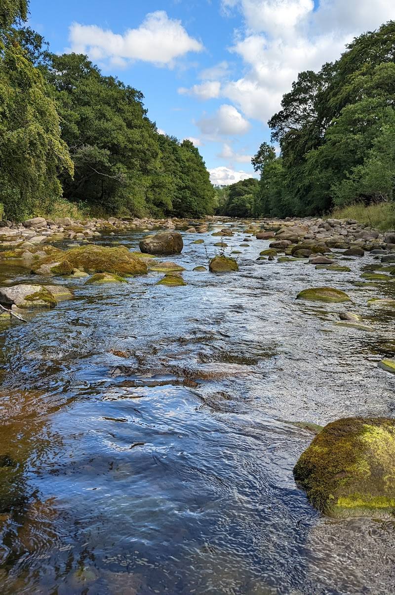 National Trust - Allen Banks and Staward Gorge — Place photograph
