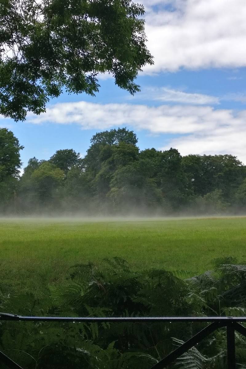 National Trust - Ashridge Estate