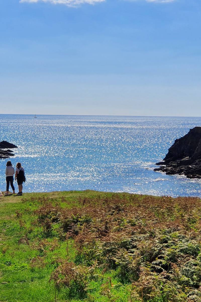 National Trust - Bolberry Down