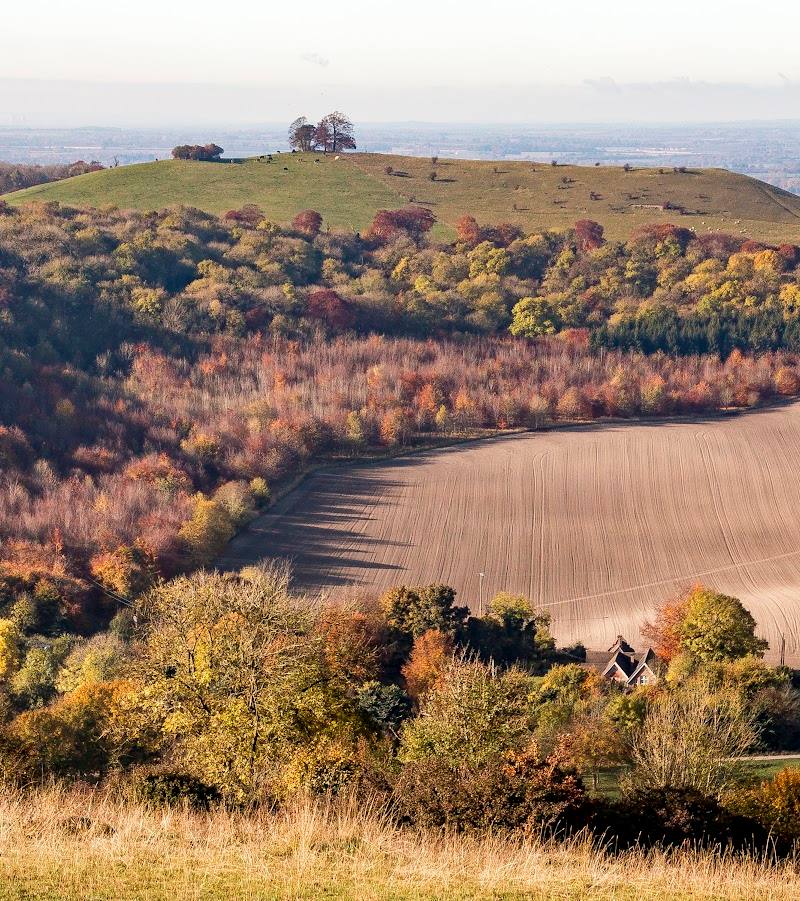 National Trust – Chilterns Countryside — Place photograph